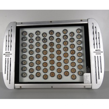 60W Meanwell Driver LED Gas Station Light with Ce/RoHS Certificate
